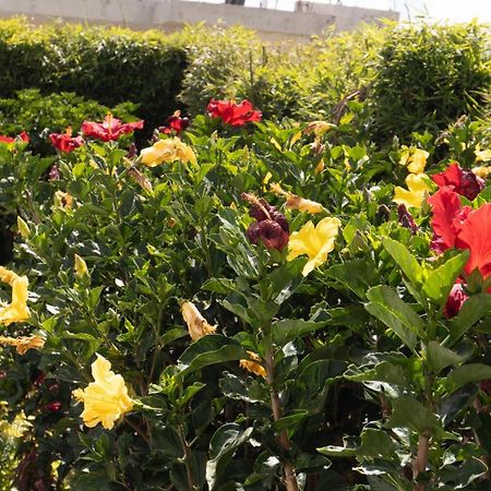 Hospedaje El Girasol Tababela Quito Buitenkant foto