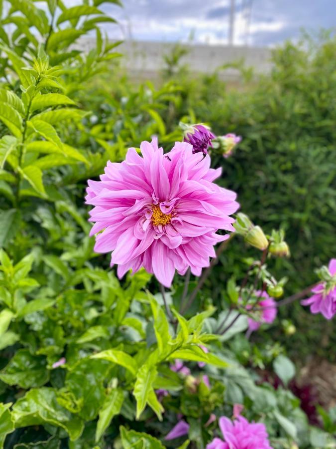 Hospedaje El Girasol Tababela Quito Buitenkant foto
